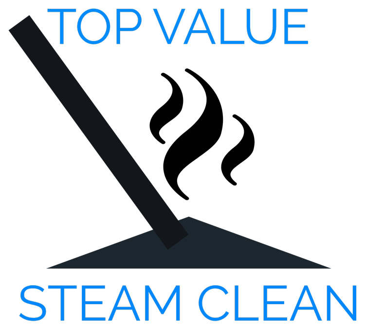 Top Value Steam Clean logo